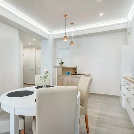 公寓 Deluxe Parkside 布达佩斯